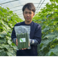 「農家のきゅうり一本漬け」販売開始のお知らせ